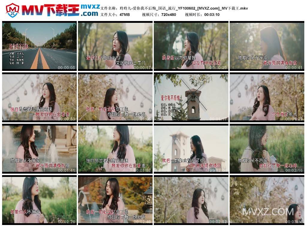 玲玲九-爱你我不后悔_国语_流行_YF100602